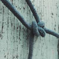 Knot (2)